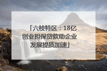 六枝特区：18亿创业担保贷款助企业发展提质加速